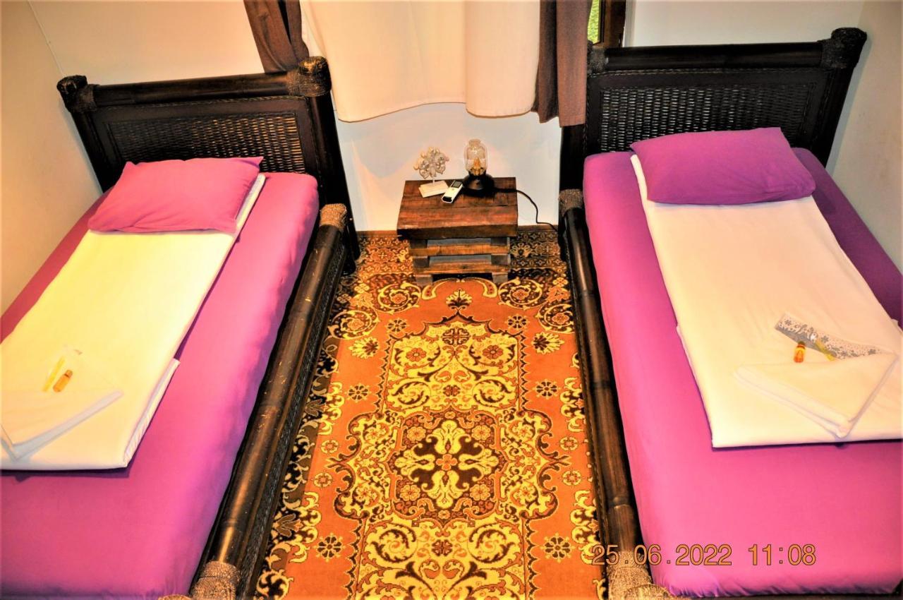Social Guest House 索菲亞 外观 照片